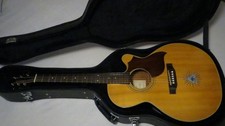 TAKAMINE EG540C