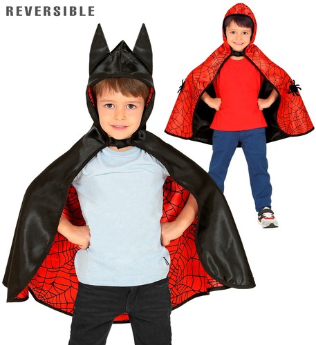Spider bat fledermaus - spider,