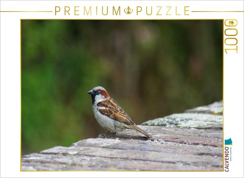 Calvendo puzzle spatz auf der - puzzle,
