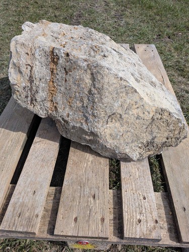 Muschelkalk felsen lbh - muschelkalk, (lbh