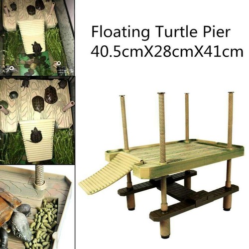 Großer aquarium schildkröten - großer,