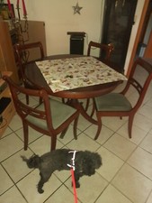 Runder Esstisch ausziebar mit