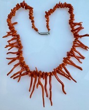 Echte Sardinien Ast Korallen