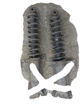 FEDERBEIN HINTEN LINKS RECHTS AUDI 80 B4 LIMOSINE 2,0L ABT 1994 8A0512341C 