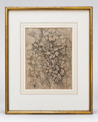 Original botanische feder - botanische,