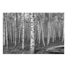 Wandtapete aus Vlies für