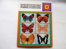 Schmetterlinge, Südwest farbig
