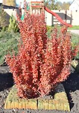 Betonformen Ecke Rand Stein