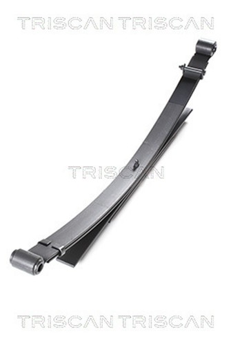 Federnpaket triscan 8765 - federnpaket,