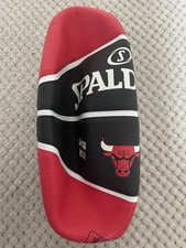 Chicago Bulls Spalding