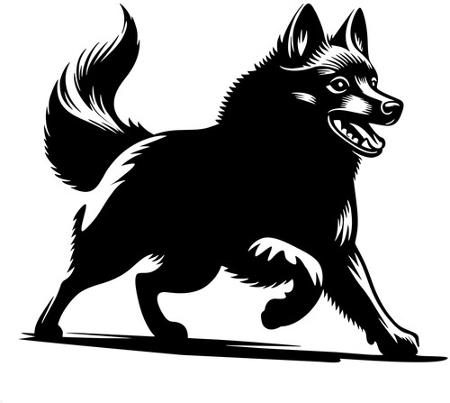 Schipperke autoaufkleber - schipperke,