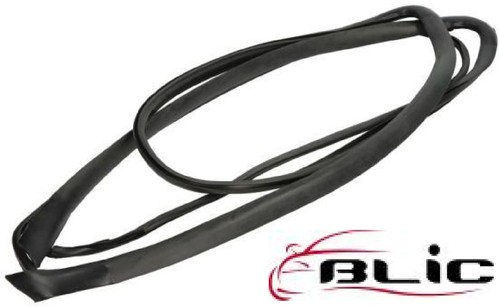 Blic 5703 6037677q dichtung - blic,