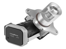 BorgWarner (Wahler) AGR Ventil