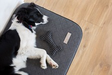 DOTTY Orthopädisches