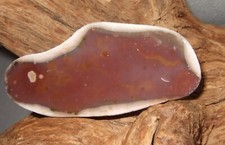 Helgoland Düne Feuerstein