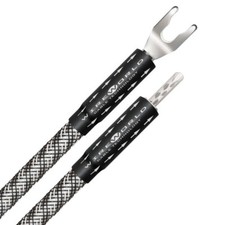 Wireworld Platinum Eclipse 10