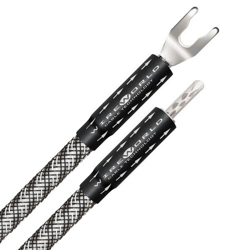 Wireworld platinum eclipse - platinum,