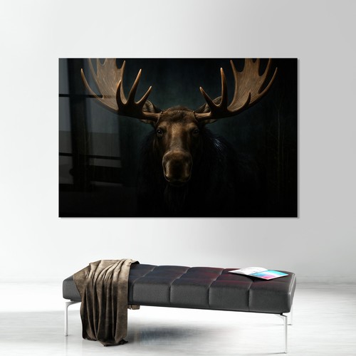 Elch wald jagd moose - wald,, jagd,