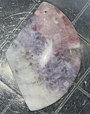 Pflaumenblüten Pflaumen