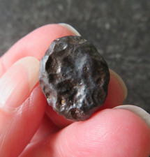 SELTENER NAMIBISCHER TSESIT