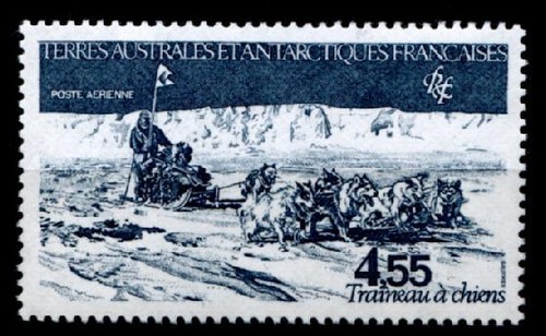 Hundeschlitten