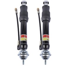 2× Hinten Stoßdämpfer