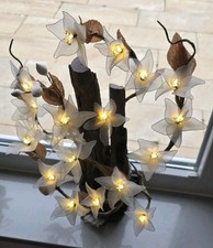 Blumenlampe – Treibholz aus