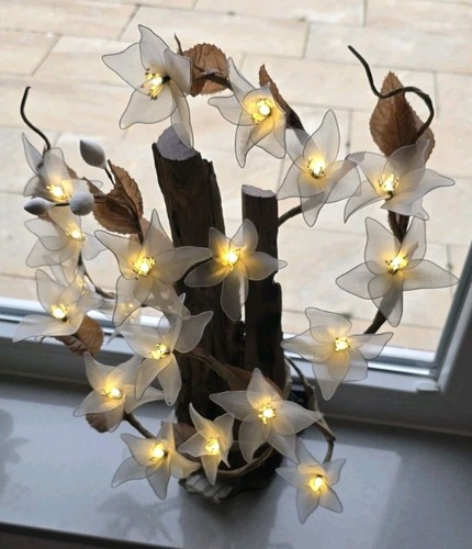 Blumenlampe treibholz aus - blumenlampe,