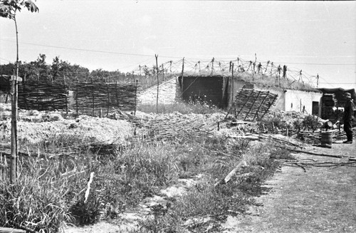 Foto negativ westfront - foto-negativ,,