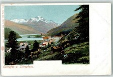 10609584 - Silvaplana Champfer