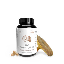 Pilze Wohlrab | Bio Polyporus