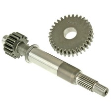 Antrieb Renngetriebe Malossi