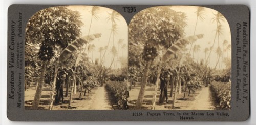 Stereo fotografie keystone - stereo-fotografie,