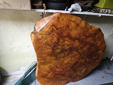 Baumscheibe Holzscheibe