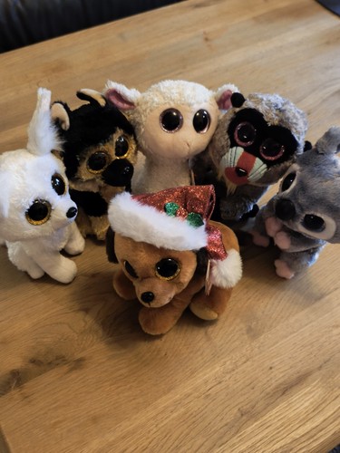 Beanie boo verschiedene - ty,