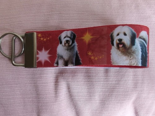 Bobtail hund - bobtail,,