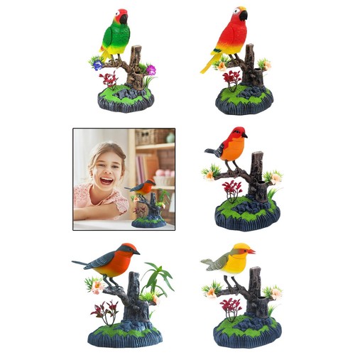 Singende vögel zwitschern - singende,