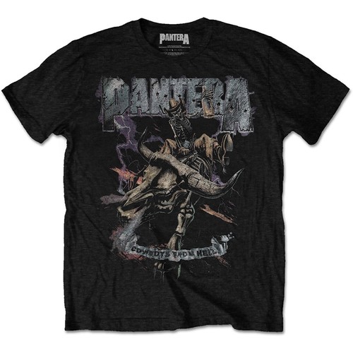 Pantera cowboys from - pantera, hell