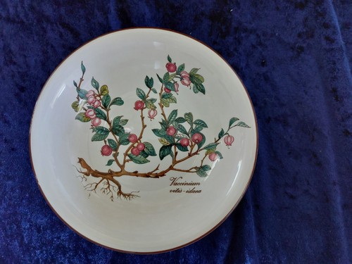 Villeroy&Boch*Botanica*Dessert