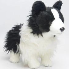 Chase Border Collie Hund