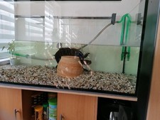 Guterhaltenes Aquarium mit Heizung, Filteranlage Und Unterschrank. 