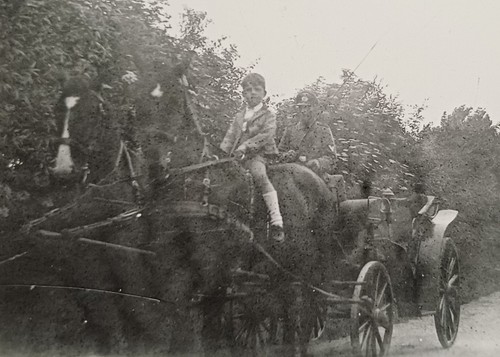 Pferdekutsche kutscher mann - pferdekutsche,