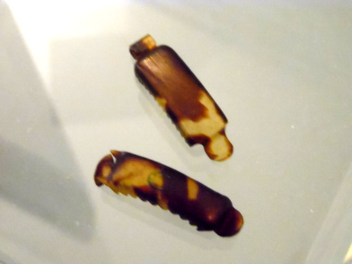Vintage kinder zopfspangen - kinder,