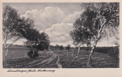 Postkarte lüneburger - 6/postkarte,