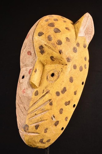Afrikanische alte leopard - afrikanische,