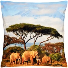 Kissenbezug 40x40 Elefanten