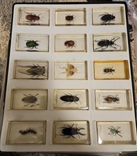 Minibiester Sammlung 28St.