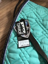 Eskadron Brillant DL Mint Teak