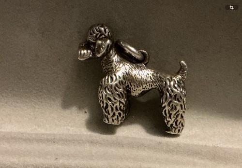 Pudel anhänger 925 - ,925, silber