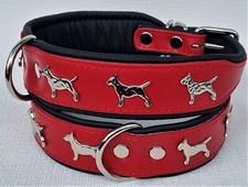 *Bullterrier* HUNDEHALSBAND -